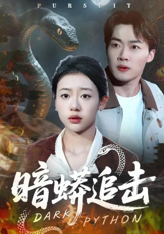 疯狂的石头
